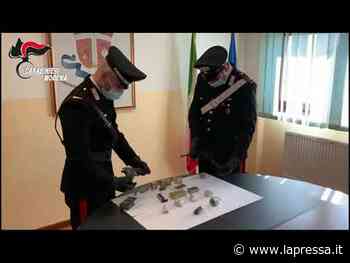 Strage Corinaldo, perquisizioni a Modena: nel mirino clan Casalesi - La Pressa