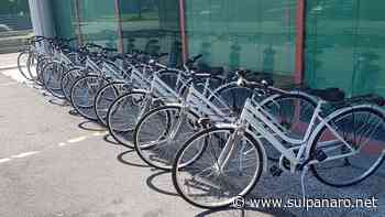 Ausl Modena, adottato il primo "Piano spostamenti casa-lavoro" - SulPanaro