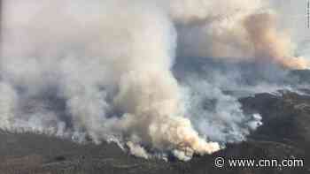Australia's wildfires released as much smoke as a massive volcanic eruption, study finds