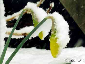Spring Snow: Up To 2 Inches Headed To Rhode Island This Week - Patch.com