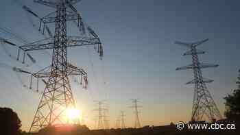Ontario taxpayers will spend $15.2B by 2040 to subsidize hydro rates for large businesses: watchdog