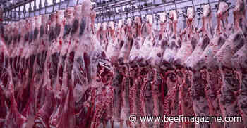 Beef packer margins trend higher