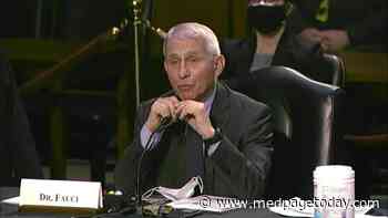 Senators, Fauci Spar Over Masks
