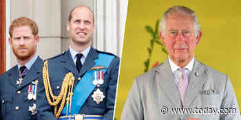 Prince Harry has spoken to William and Charles for 1st time since Oprah interview