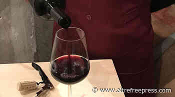 Primitivo di Manduria, al via l'evento digitale in America tra degustazioni e confronti - Oltre Free Press