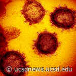 Novel Coronavirus Circulated Undetected Months before First COVID-19 Cases in Wuhan, China - UC San Diego Health