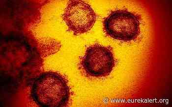 Novel coronavirus circulated undetected months before first COVID-19 cases in Wuhan, China - EurekAlert