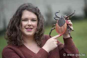 Ga op tekenjacht in je tuin en help doctoraatsstudente met haar onderzoek - Gazet van Antwerpen