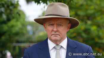 Farm workers earning as little as $1.25 an hour, says union wage-theft report