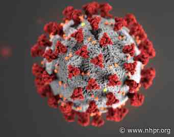 Coronavirus Update: 5 N.H. Deaths; Sununu Says 'Weeks' Until All Adults Can Register For Vaccine - New Hampshire Public Radio
