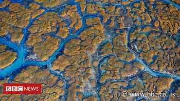 Protect our ocean 'to solve challenges of century'