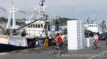 La rabbia della marineria: «Chiamatelo solo fermo, di biologico lo stop non ha nulla e mette... - corriereadriatico.it