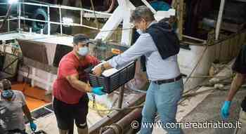 Fermo pesca, si rischia il raddoppio: stangata di altri 21 giorni. Ripercussioni pesanti - corriereadriatico.it