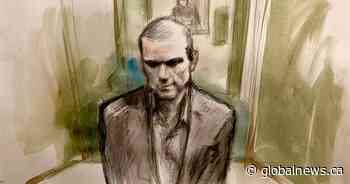 Toronto van attack: Alek Minassian’s sentencing hearing delayed - Global News
