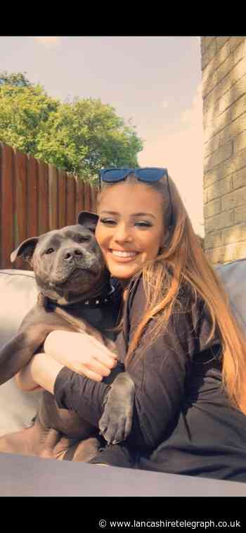Hunt for quad bike rider who ploughed into woman's dog