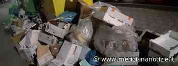 Rifiuti, FDI: Ardea è in piena emergenza sanitaria - MeridianaNotizie