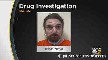 Suspect Arrested In Scott Township Drug Raid