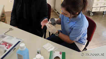 Neunkirchen - Krankenpflegeschule lädt zu Info-Nachmittag - NÖN.at