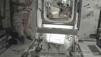 New Species of Bacteria Discovered on Space Station – May Possess “Biotechnologically Useful Genetic Determinants” for Growing Crops