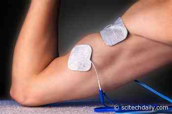 How to Speed Up Muscle Repair – Bioengineers Discover Factors to Trigger for “Rapid Growth”