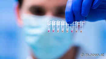 Ausreisetests drohen - Bezirk Neunkirchen: Inzidenz erstmals über 400er-Marke - NÖN.at