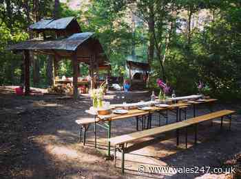 Street Food Circus announces woodland 'feastival' by the sea - Wales247