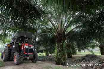U.S. green energy push sets global edible oils alight, raises food inflation fears - Reuters