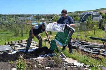 Community growth: how local food gardens are benefiting Borders residents - The Scotsman