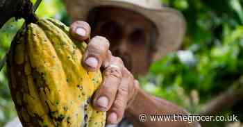 Cheap food culture creates fertile ground for modern slavery in supply chains - The Grocer