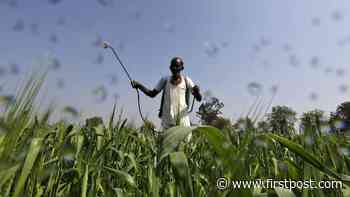 From locusts to fires: UN warns of growing threats to food systems, livelihoods in agriculture - Firstpost