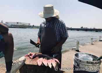 Pescadores en Boca del Rio sobreviven al Frente Frío con 50 pesos - La Silla Rota