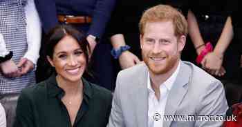 'Inspiring' Meghan Markle and Prince Harry praised for secret food deliveries to needy - Mirror Online