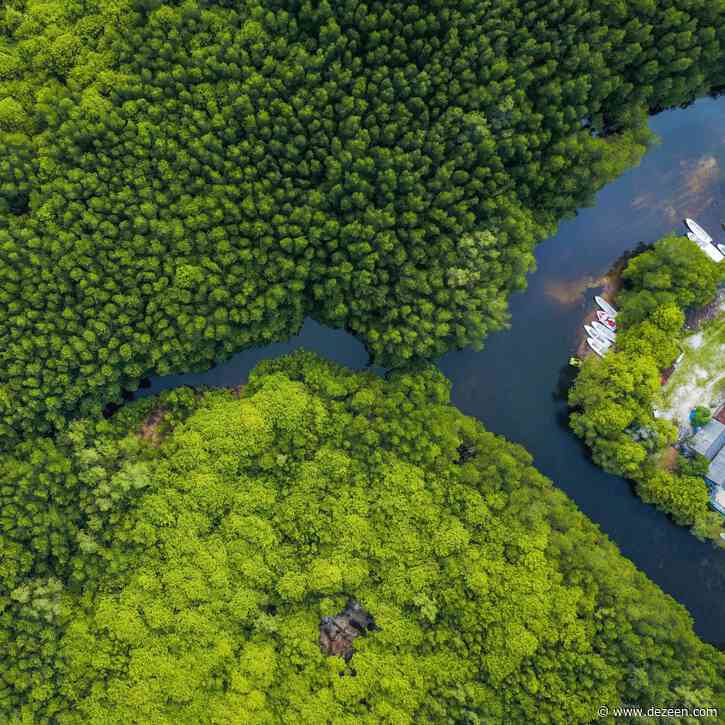 Specifying tropical timber can "play a key role in the climate change battle" says Timber Trade Federation