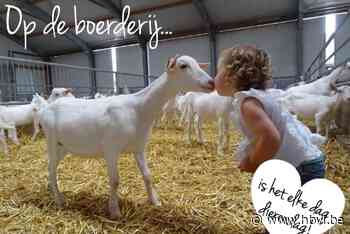 Nieuwe FarmFun vestiging in Geel en Aalter - Het Belang van Limburg