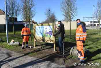 Molse groendienst kiest voor bij- en bloemvriendelijk maaien - Gazet van Antwerpen