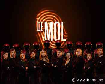 Telenet roept 'De mol'-zone in het leven voor fanatieke mollenvangers - Humo The Wild Site