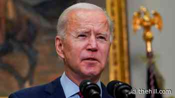 Senators call on Biden to officially recognize Armenian Genocide