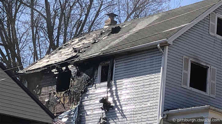 Person, Dog Safely Evacuate Fire At Springdale Residence