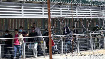 New Mexico rancher tells ‘America’s Newsroom’ migrant crisis not only impacts border, but entire nation