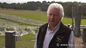 63 times the size of Melbourne's CBD: Victoria's farmland lost to thousands of residential developments