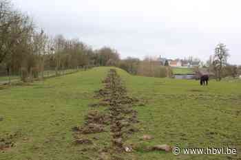 Putten gegraven, paaltjes gezet, paaltjes weer opgeruimd (Borgloon) - Het Belang van Limburg Mobile - Het Belang van Limburg