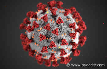 Two new coronavirus cases in Jefferson County reported Friday - Port Townsend Leader