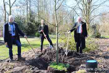 Sloveense ambassadeur plant bijenboom in Arboretum Kalmthout (Kalmthout) - Gazet van Antwerpen