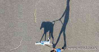 The coronavirus pandemic might actually save the census