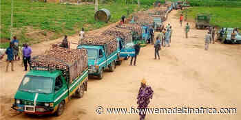 Supplying Nestlé with cassava products: How this Nigerian entrepreneur built her agri-processing business - How we made it in Africa