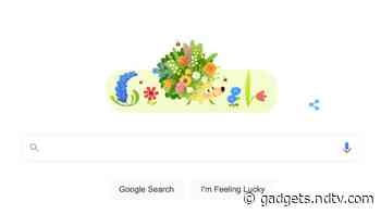 Spring Season 2021: Google Doodle Celebrates Equinox With Animated Hedgehog, Flowers