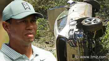 Tiger Woods Crash Probe Shows No Evidence of Deceleration