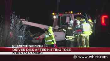 Man dies after car hits tree in Genesee County