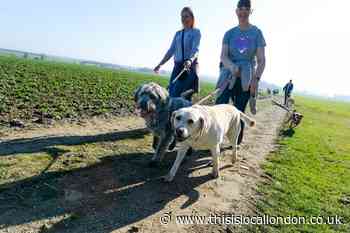 St Clare Hospice's winter walkies fundraising event