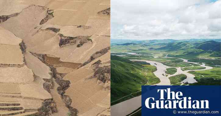 ‘Our biggest challenge? Lack of imagination’: the scientists turning the desert green